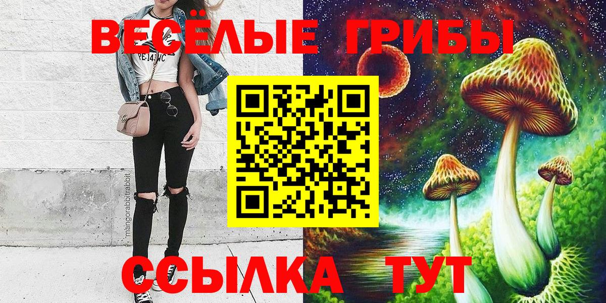 Псилоцибиновые грибы GOLDEN TEACHER  Псилоцибиновые грибы прущие грибы  Вход с VPN  Мариинск 